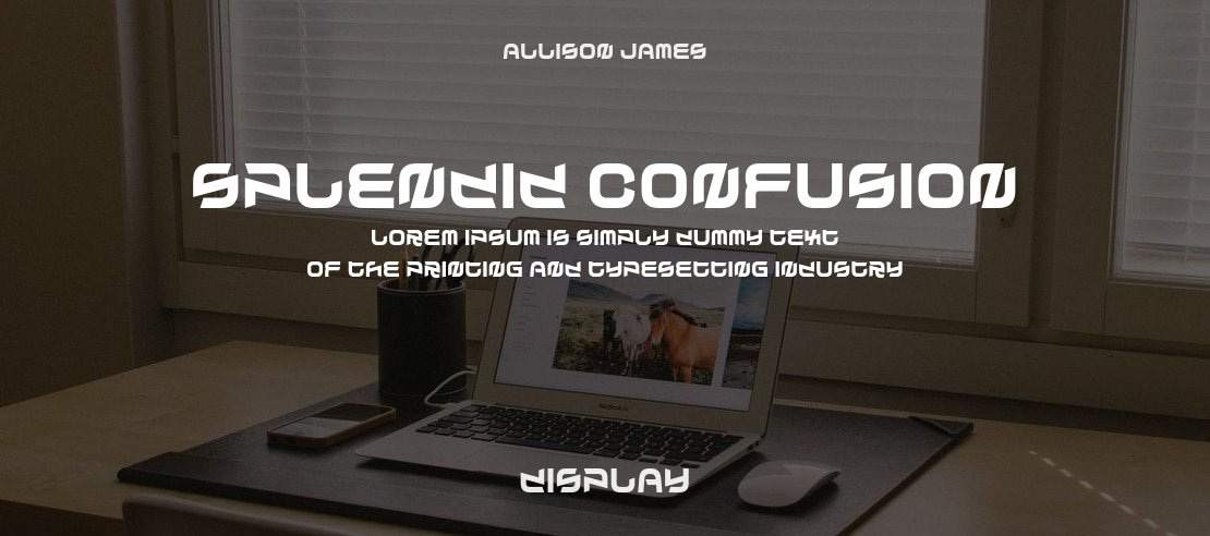 Splendid Confusion Font