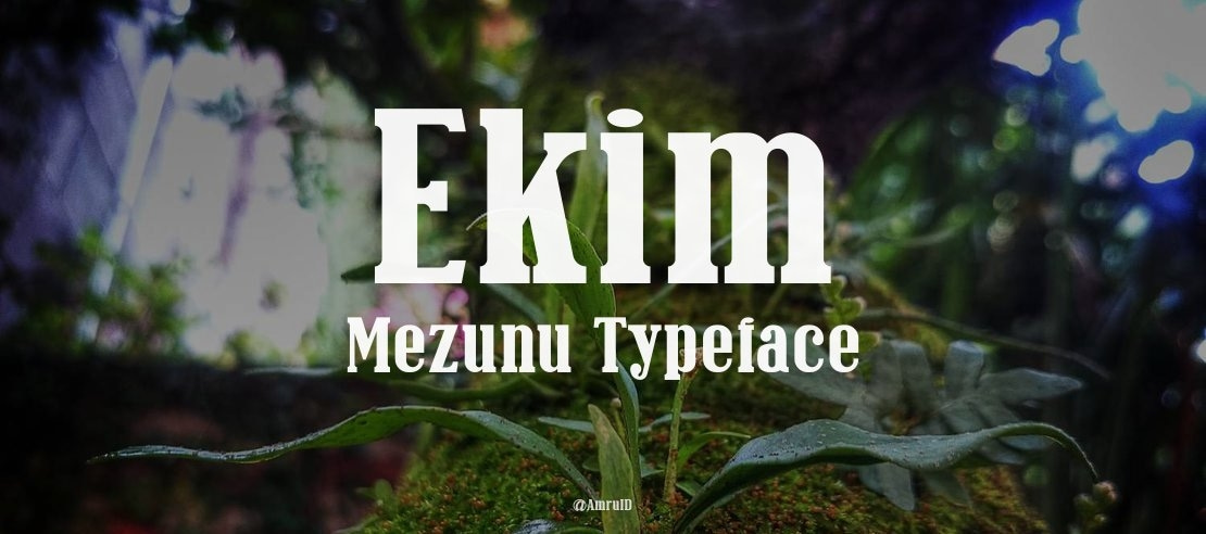 Ekim Mezunu Font