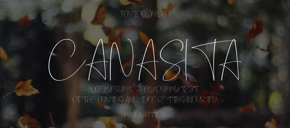 Canasita Font