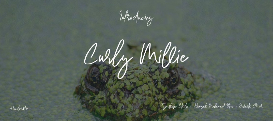 Curly Millie Font