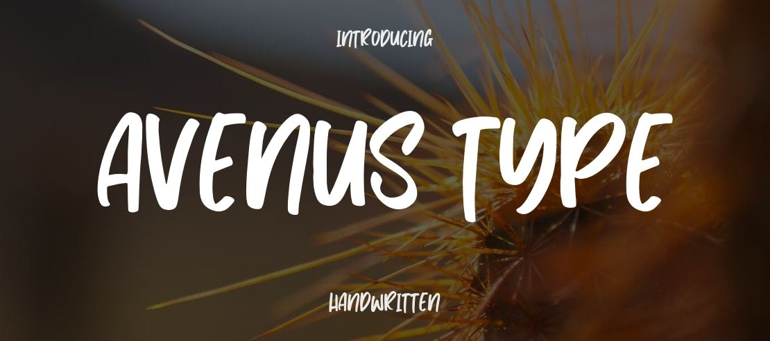 Avenus Type Font