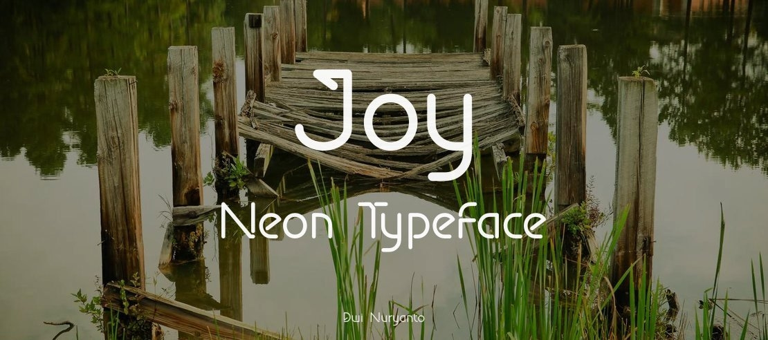 Joy Neon Font Family