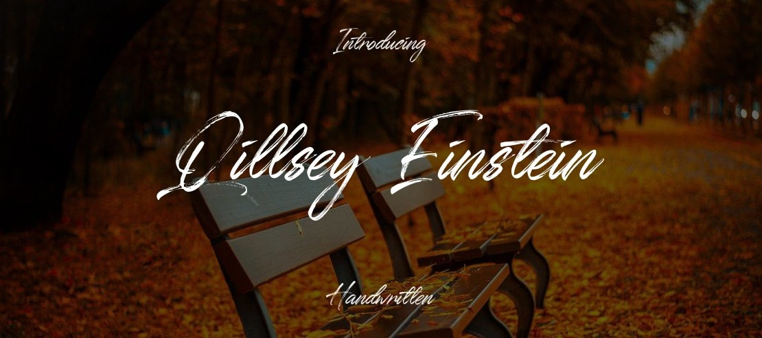 Qillsey Einstein Font