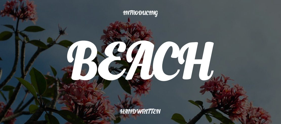 Beach Font