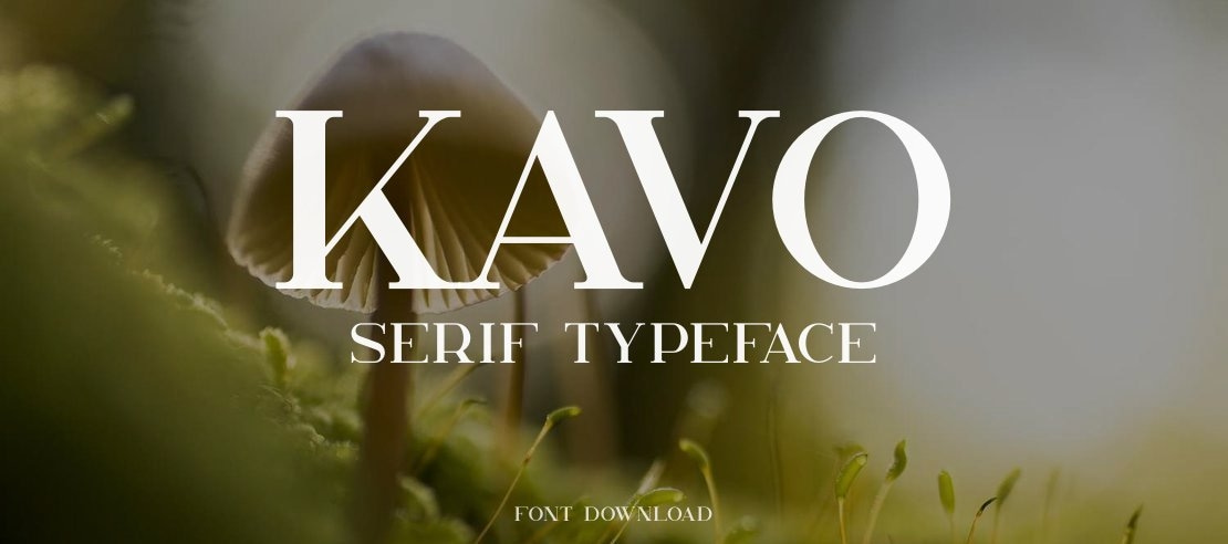 Kavo Serif Font