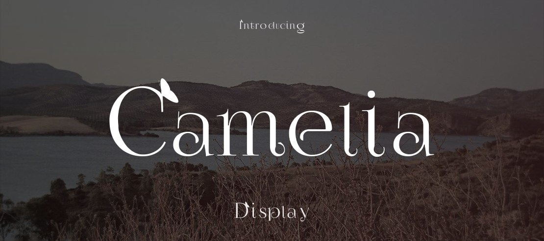 Camelia Font