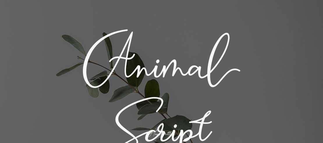 Animal Script Font