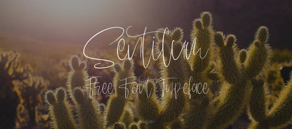 Sentilum Free Font