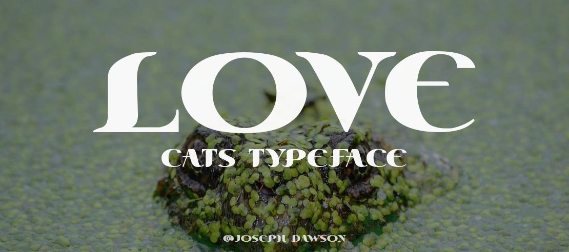 Love Cats Font Family