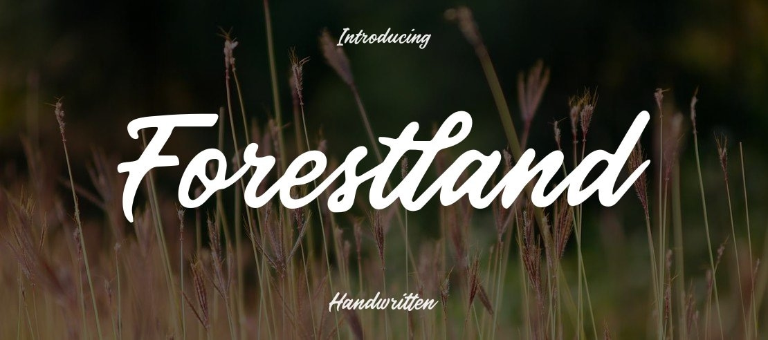 Forestland Font