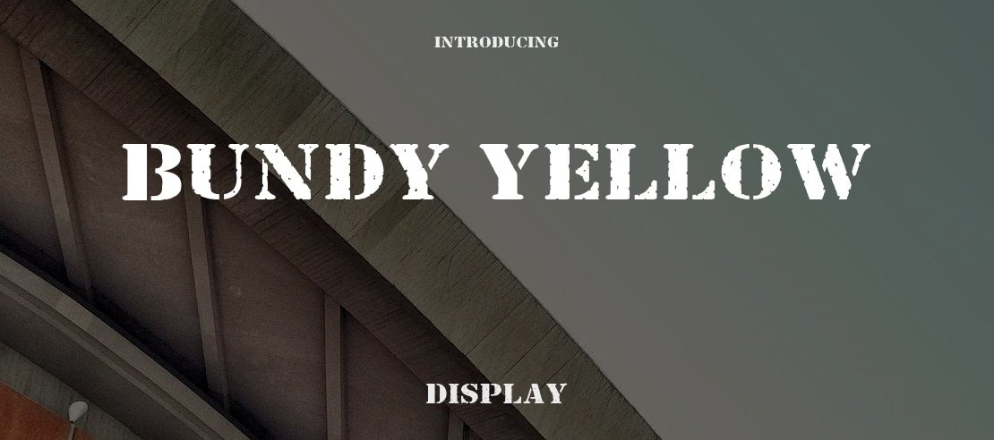 Bundy Yellow Font Family