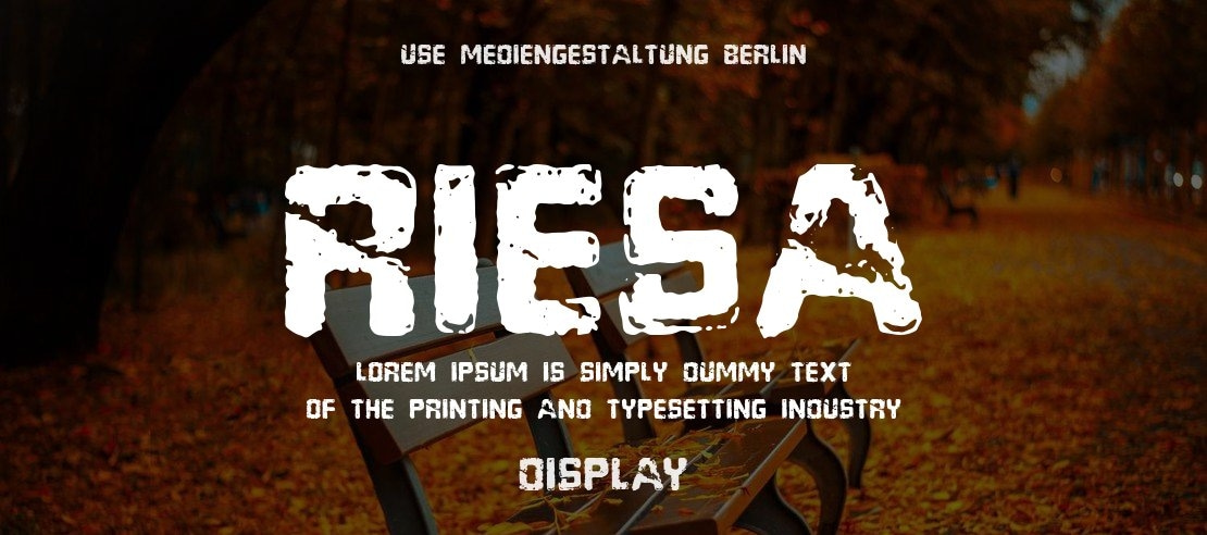 Riesa Font