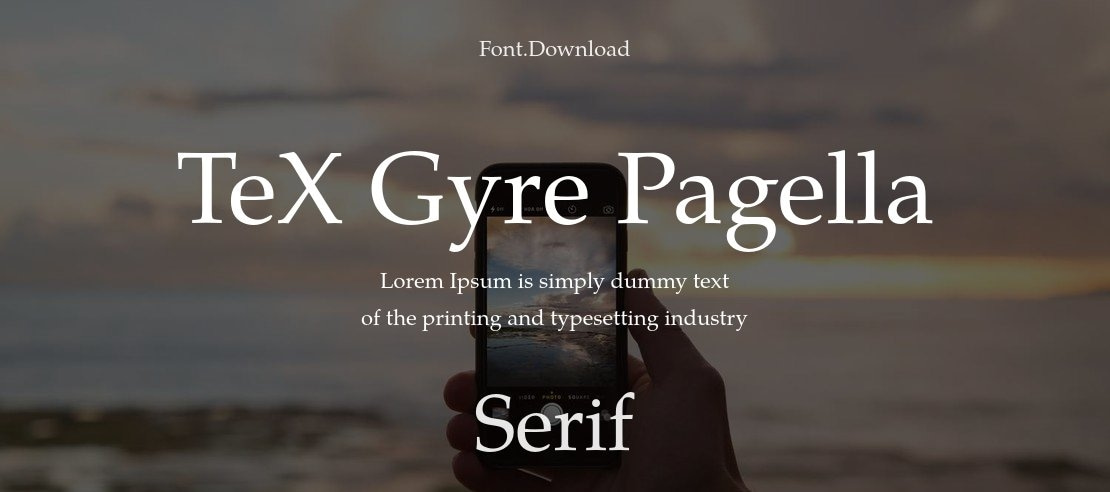 TeX Gyre Pagella Font Family