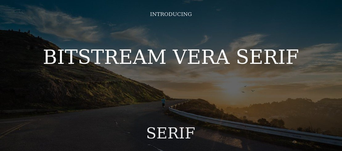 Bitstream Vera Serif Font Family