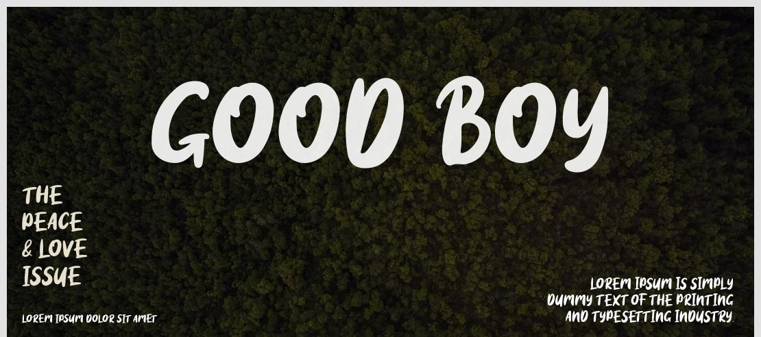 Good boy Font