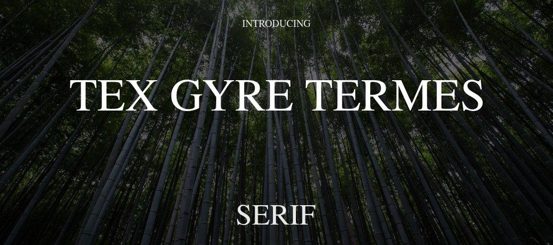 TeX Gyre Termes Font Family