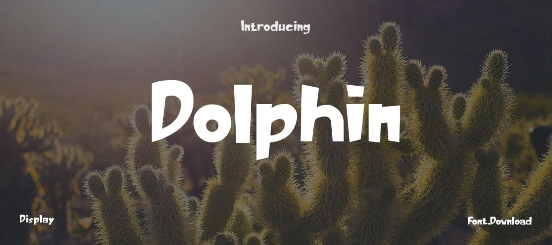 Dolphin Font Family