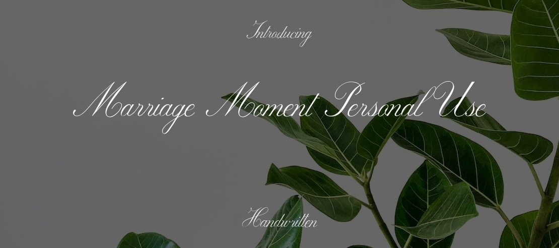 Marriage Moment Personal Use Font