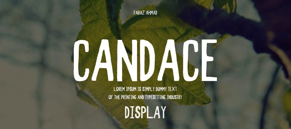 Candace Font