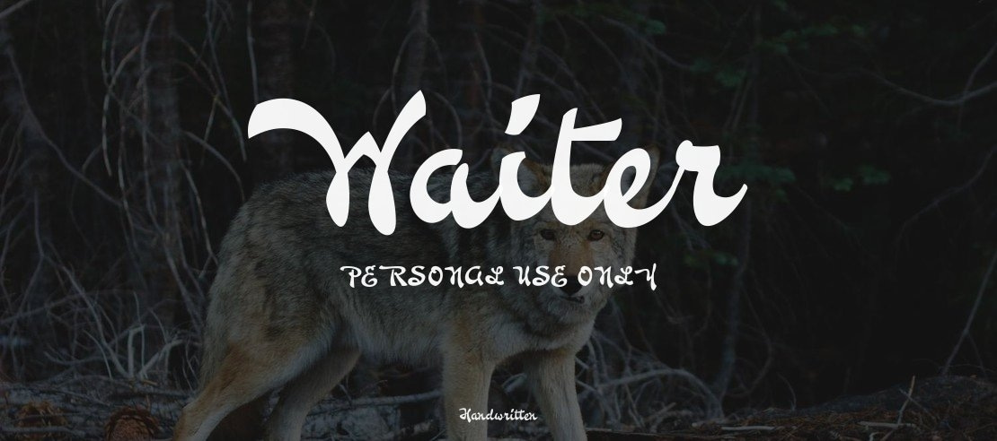 Waiter PERSONAL USE ONLY Font