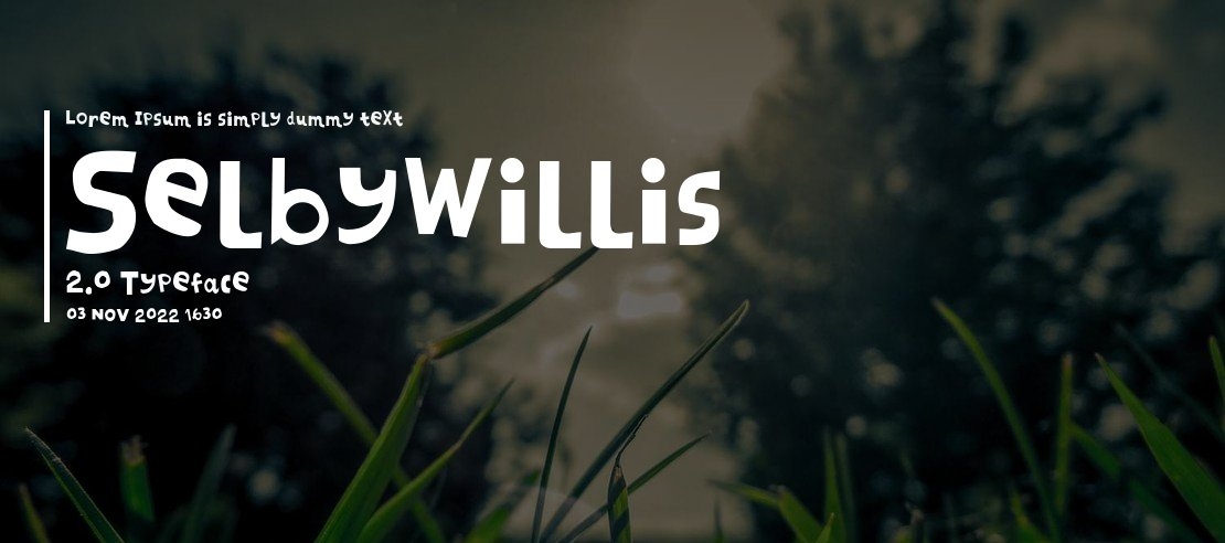 SelbyWillis 2.0 Font