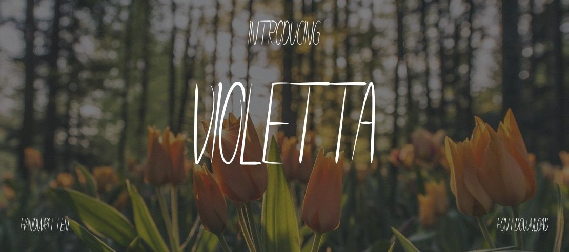 Violetta Font