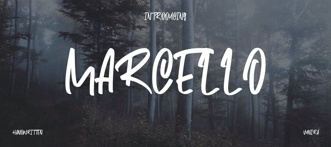 Marcello Font