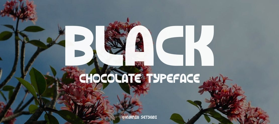 Black Chocolate Font