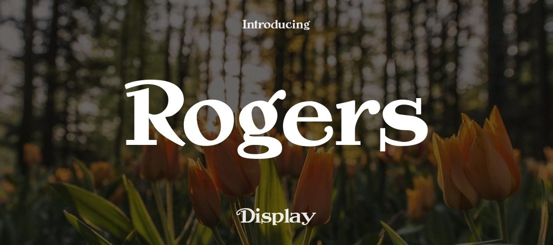 Rogers Font