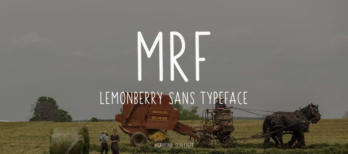 MRF Lemonberry Sans Font