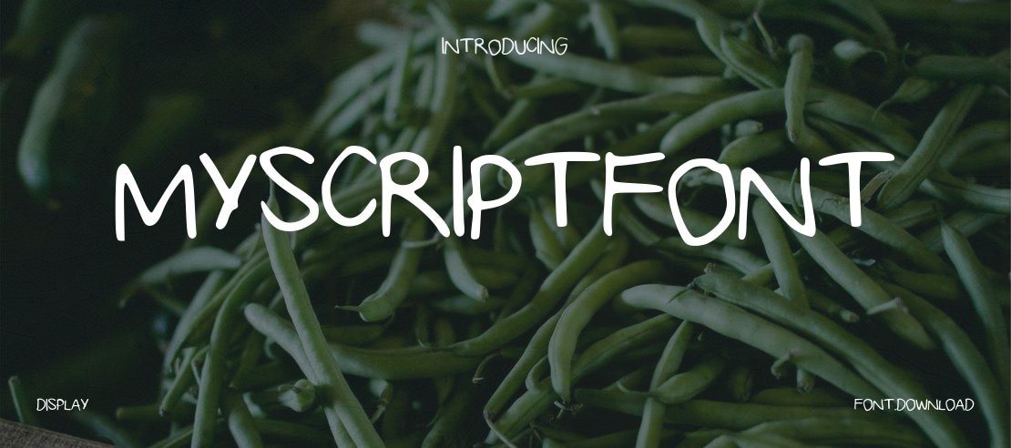 MyScriptFont Font