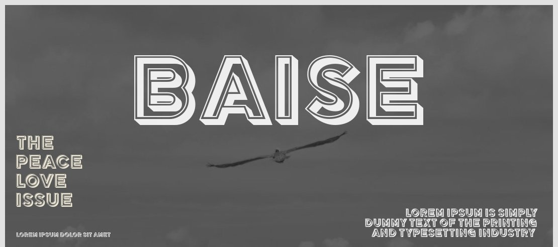 Baise Font