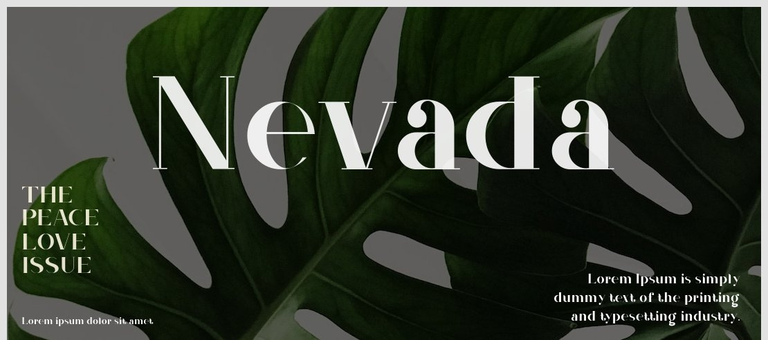 Nevada Font
