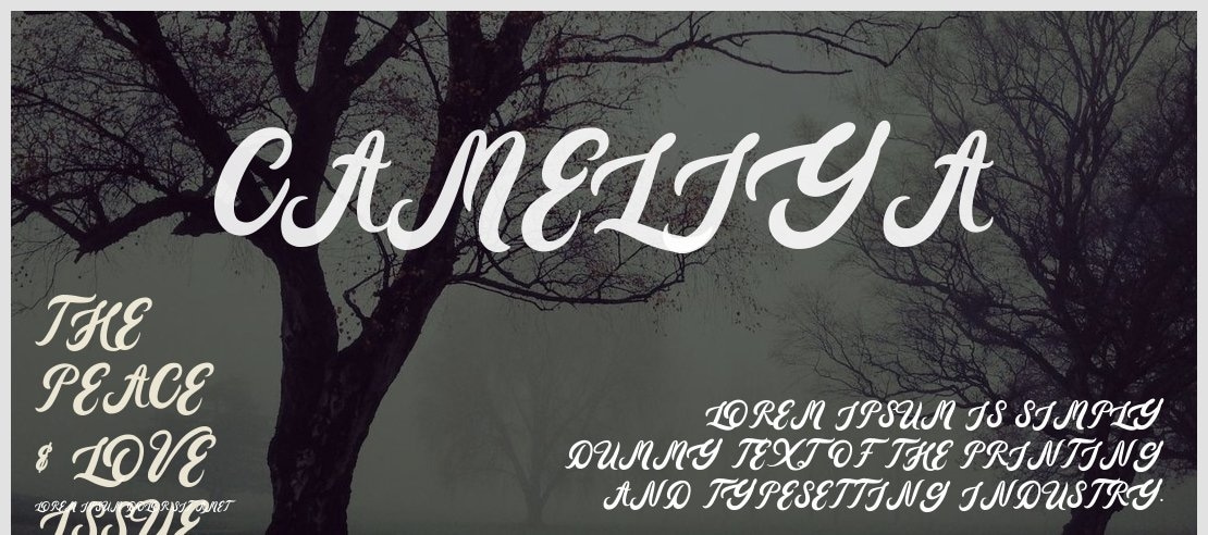 Cameliya Font