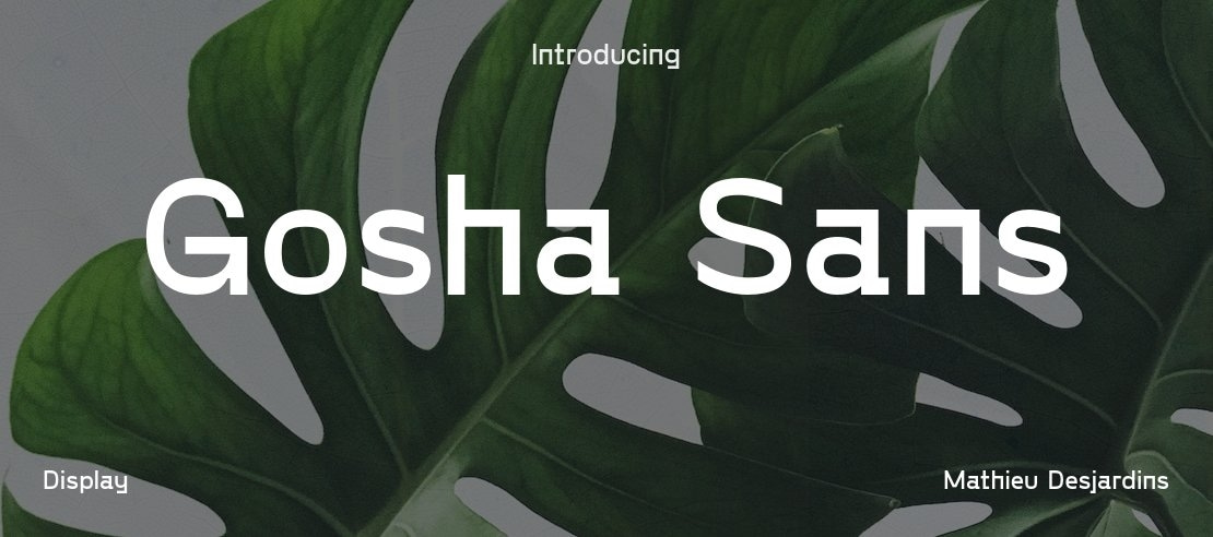 Gosha Sans Font Family