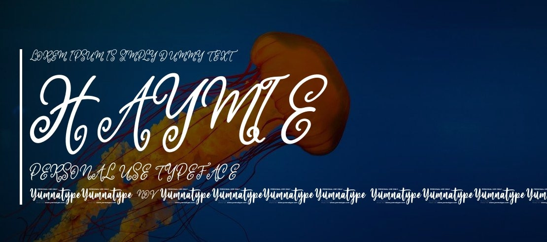 Haymie Personal Use Font