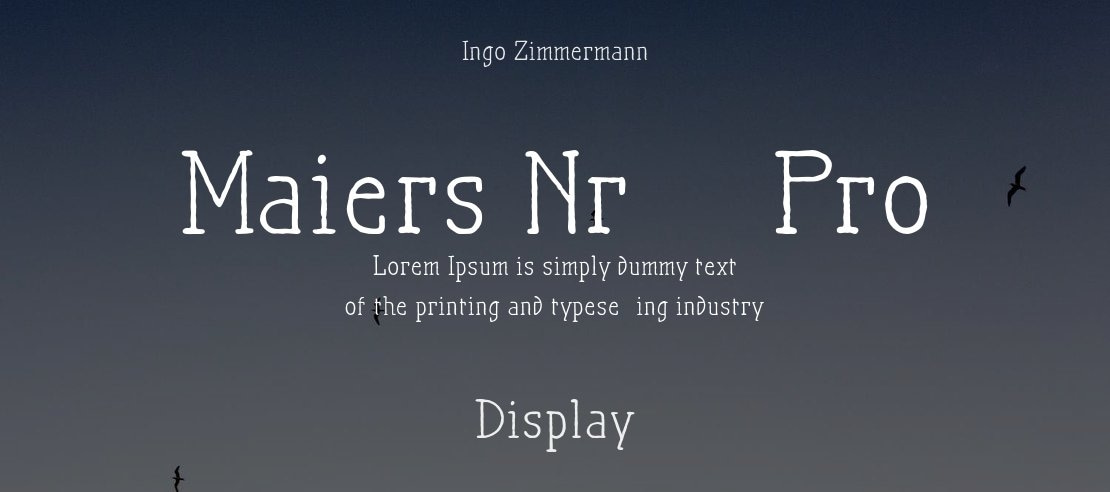 Maiers Nr.21 Pro Font Family