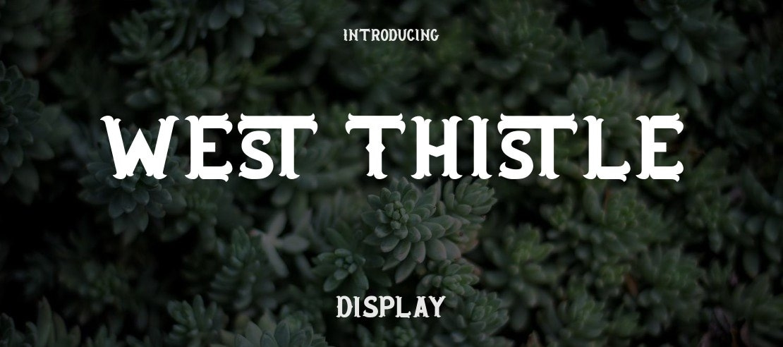 West Thistle Font Family