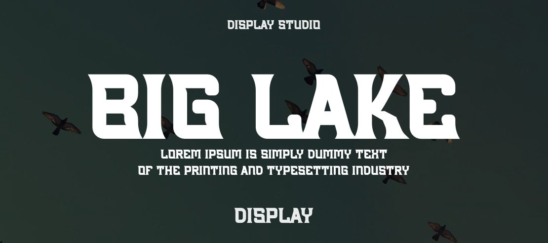 Big Lake Font Family