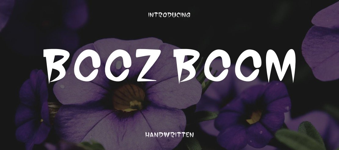 BOOZ BOOM Font