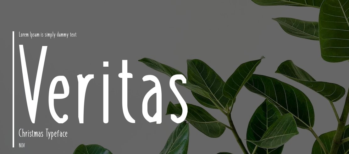 Veritas Christmas Font