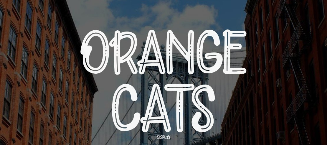 ORANGE CATS Font