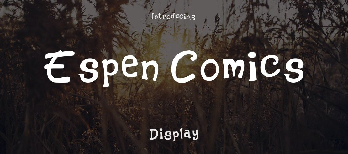 Espen Comics Font