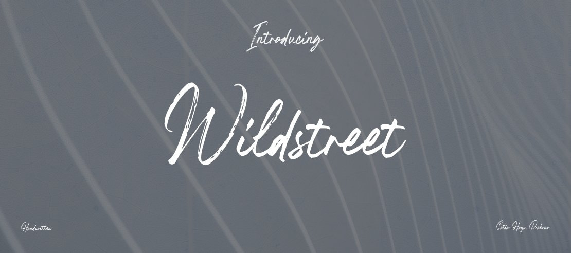 Wildstreet Font