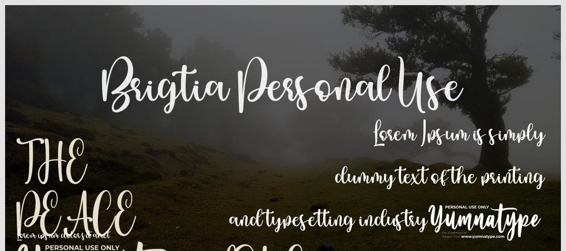 Brigtia Personal Use Font