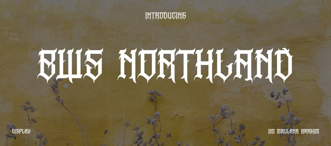 BWS NORTHLAND Font