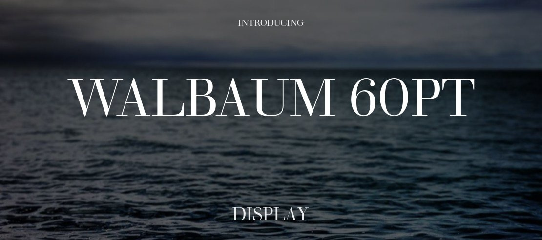 Walbaum 60pt Font Family