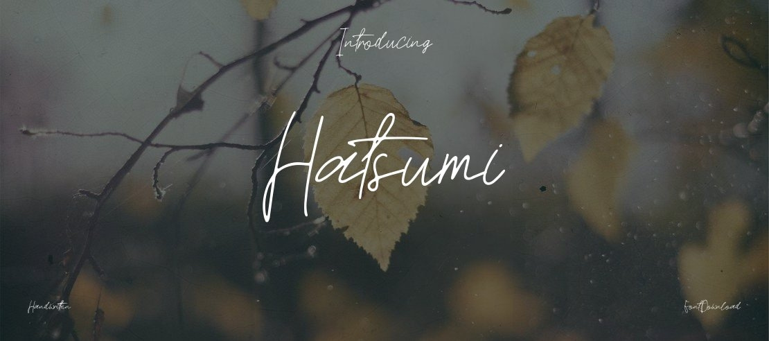 Hatsumi Font