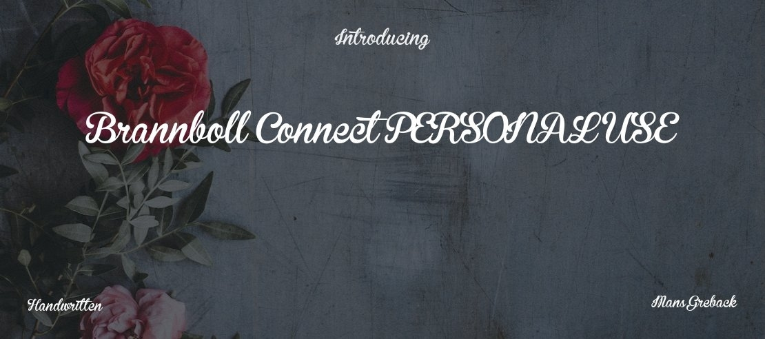 Brannboll Connect PERSONAL USE Font