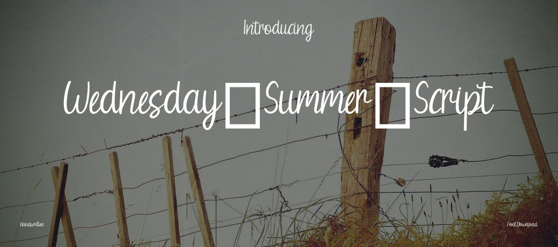 Wednesday Summer Script Font Family